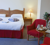 Casey's of Baltimore Hotel room