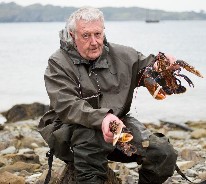 Fresh Lobster