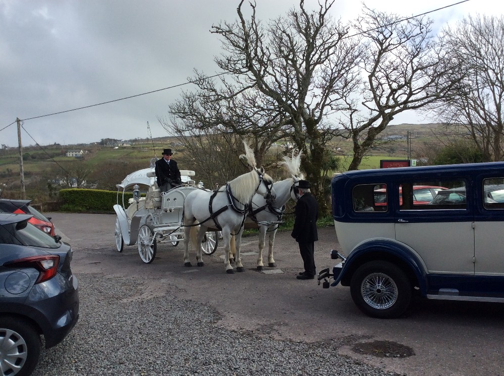 Horse and Carriage