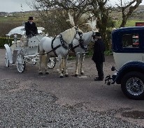 Horse and Carriage