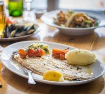 Black Sole