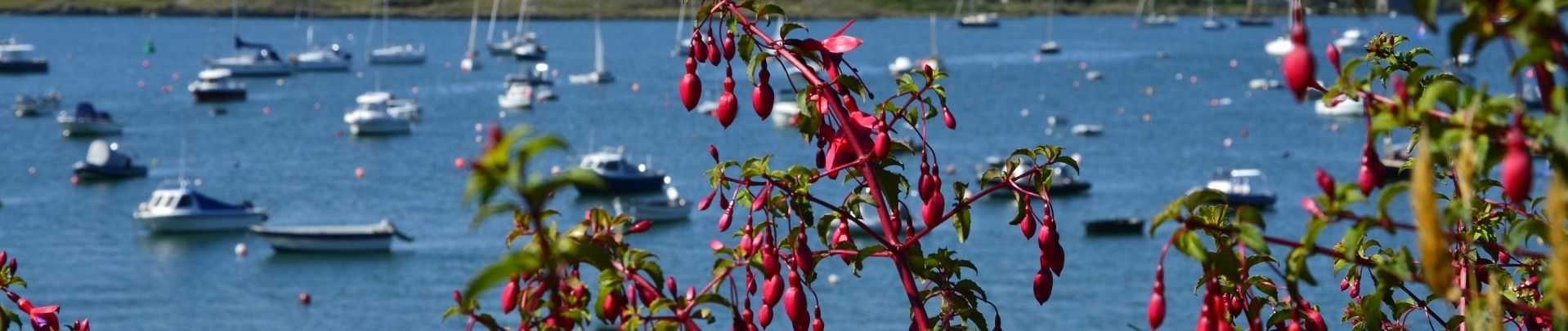 West Cork